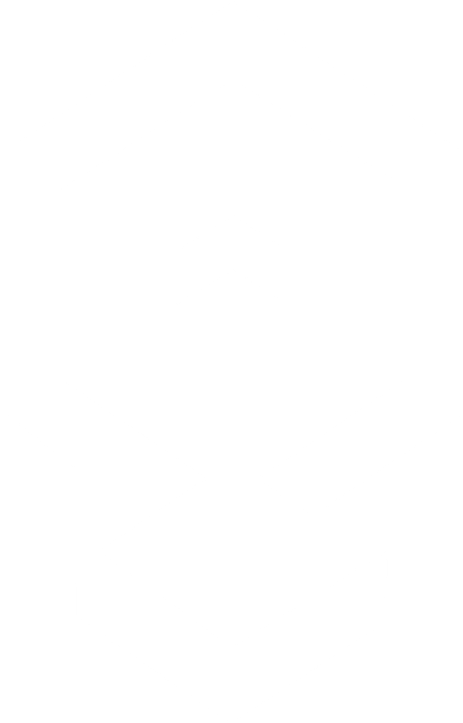 The ERTKAZ emblem — an anchor / load point